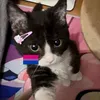 gtkvlj365