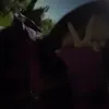 greeekkl