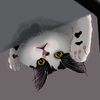 cloud_the_catt