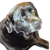 monprefe_