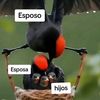 1gatitaverito