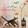 om.mohamed1212