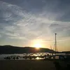 antonellacola66