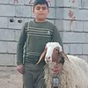 mhamad_aziz1
