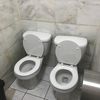 2toilets2