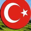 aliay739
