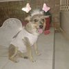 nancy12na