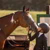 autumn_horses2011