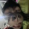aj_shabeel28