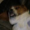 tired_at_threeam