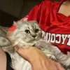 ixzyuu