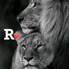 user4105168092305