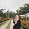 mamah_nis