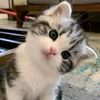 adorable1105