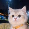 khalish_gais