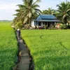 muonsongyenbinh