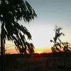 tiktok.dubplay