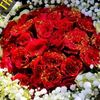 sekina.flowers