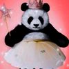 baby_44041