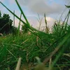 ijazkhan0092