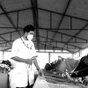 aavashbhandary07