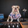 ogbulldog1