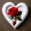sameerkhan99800