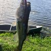 d2fishinguy