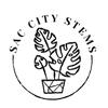 saccitystems