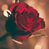 user56michoacana2