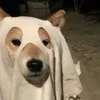 weirdadventure