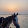 jjustfadi_0