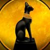 wisdom_cat_thoughts