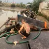 hieubaso