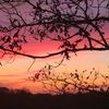 sunsets_and_peace
