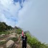 halusaaaaa