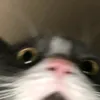 nickymama69