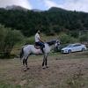 musofir_9955