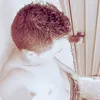 smith_ff_r