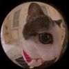 usergarwew2gqg