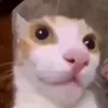 saminato5
