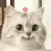 roseyou4l