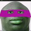 colckroach