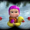 coconut_11037