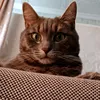 fil_077