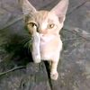 yongtana.yongtana