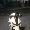 biji_badak