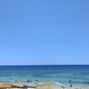 alissamacalino