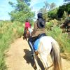 mawe_famliy