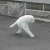 00o0oo00oo